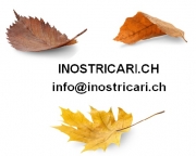 inostricari.ch